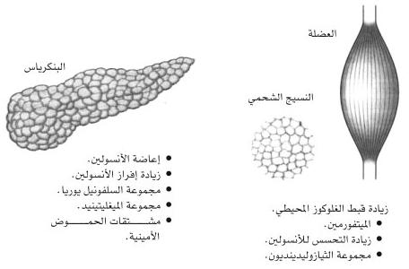 أدوية خافضات السكر الفموية